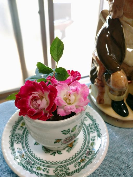 コーヒーカップに入ったバラの写真