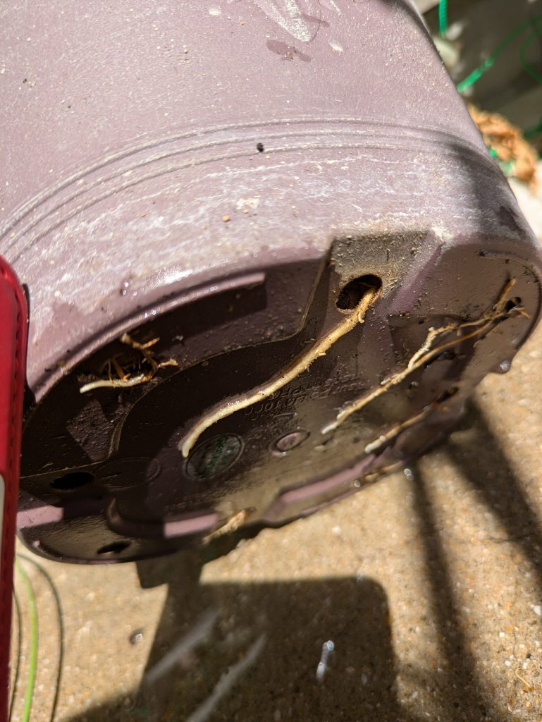 根詰まりの画像